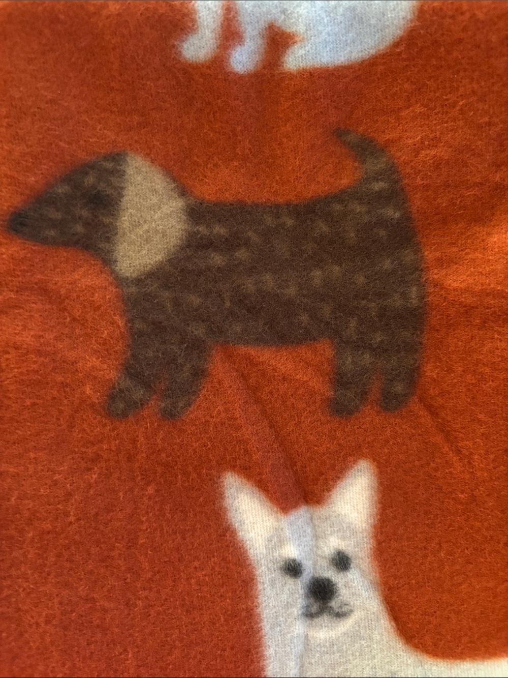 NWT Plush Rust Orange Dog Print Throw Blanket 50 X 60 - Picture 13 of 16